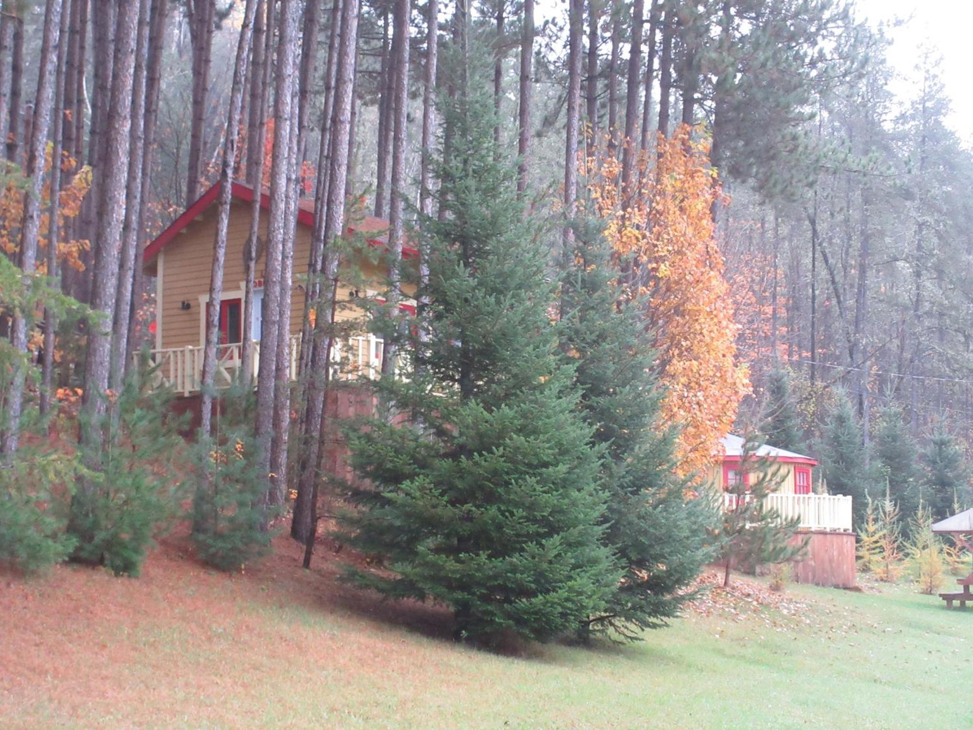 Bed & Breakfast La Maison Sous Les Arbres