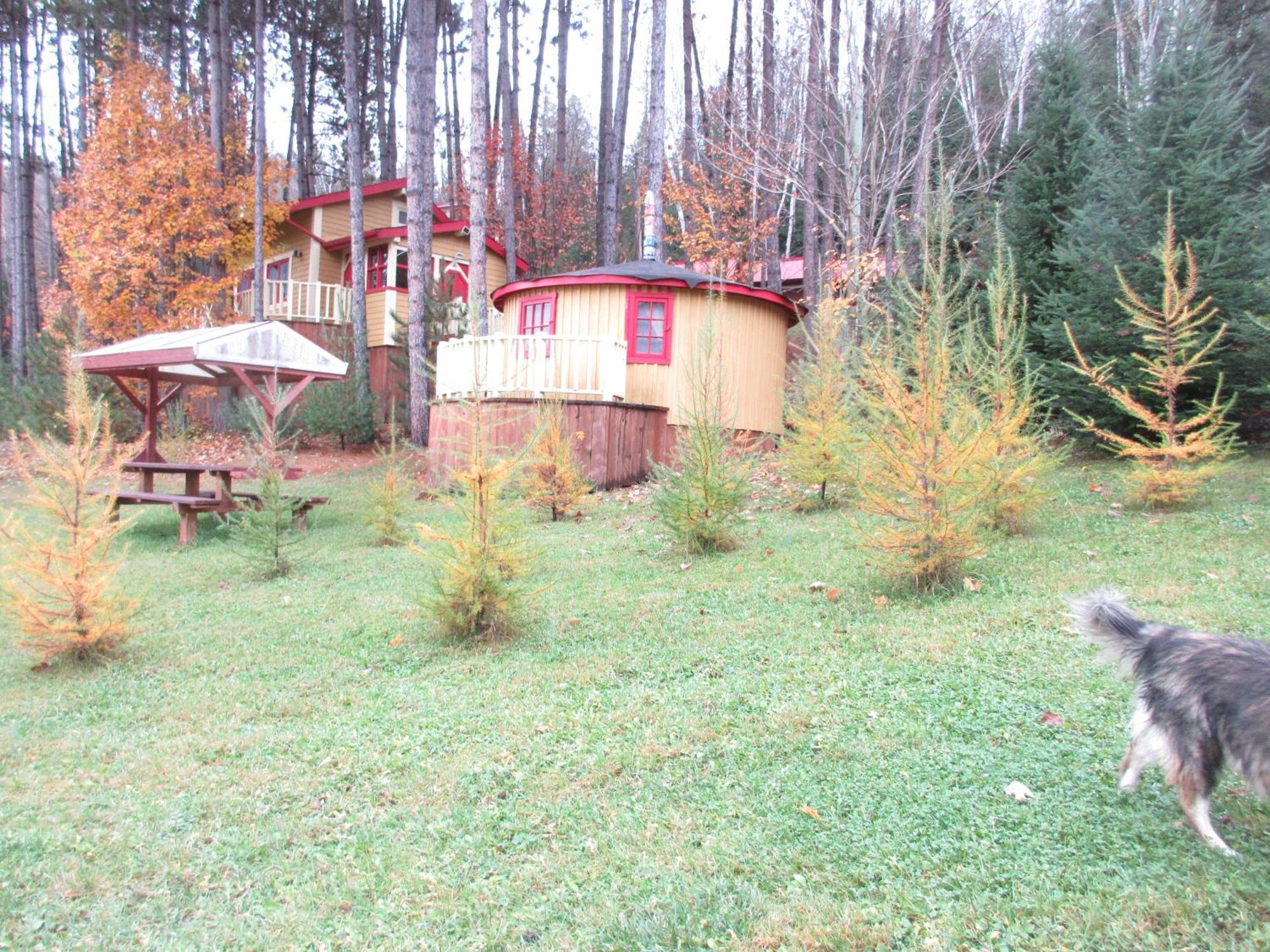 Bed & Breakfast La Maison Sous Les Arbres *