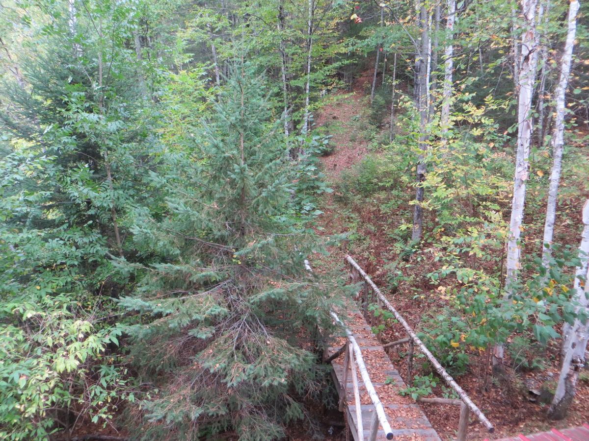 Bed & Breakfast La Maison Sous Les Arbres
