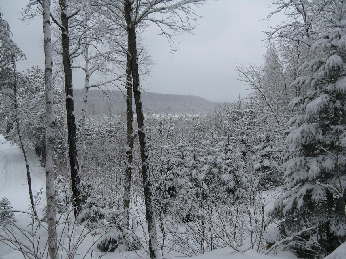 Bed & Breakfast La Maison Sous Les Arbres *