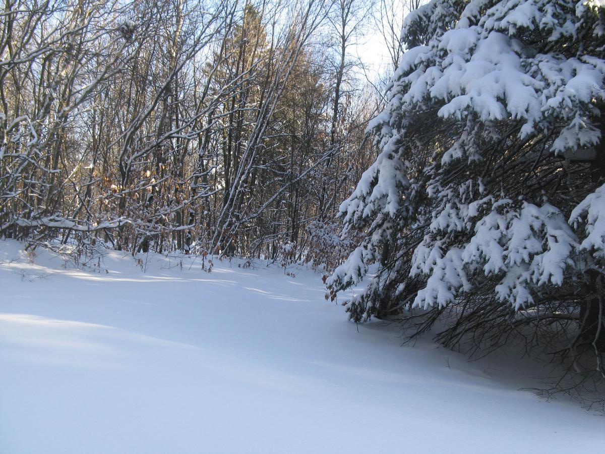 La Maison Sous Les Arbres Bed & Breakfast Saint Roch de Mekinac
