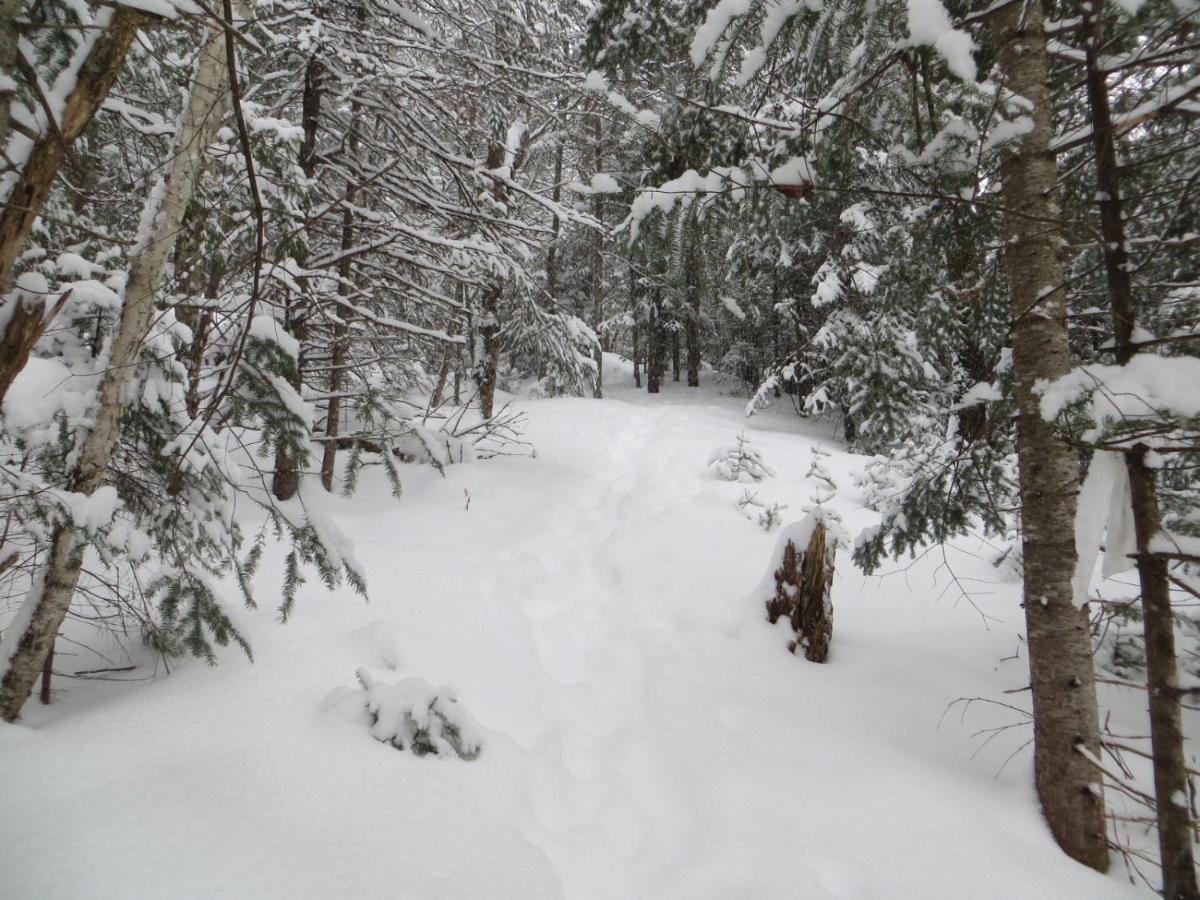 La Maison Sous Les Arbres Bed & Breakfast *