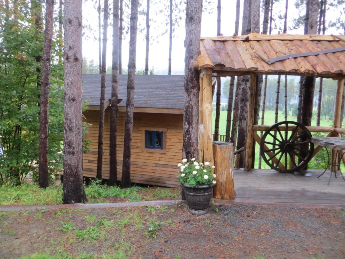 Bed & Breakfast La Maison Sous Les Arbres *