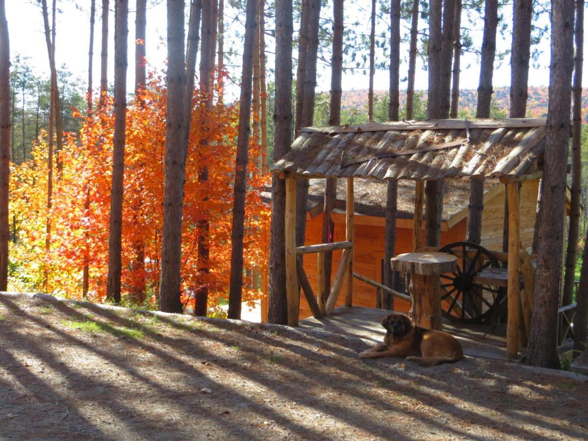 Bed & Breakfast La Maison Sous Les Arbres Saint Roch de Mekinac